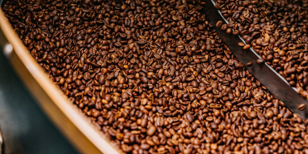 The Complete Guide to Fresh Coffee: How Long It Really Lasts (and Why It Matters)