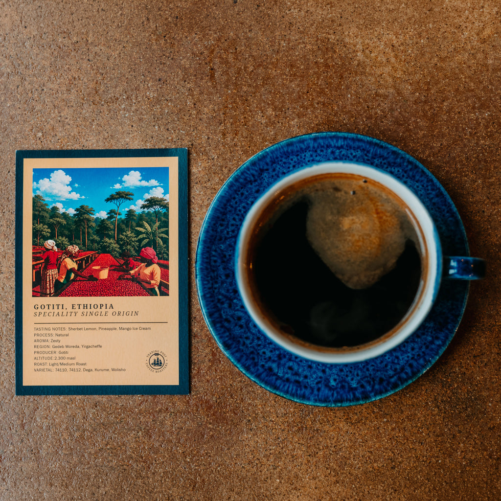 Gotiti, Ethiopia Single Origin Speciality Coffee